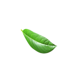 green leaf